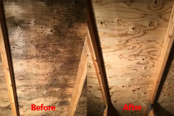 water damage restoration service Sunfish Lake